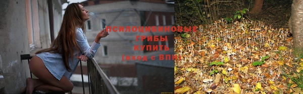 ГАЛЛЮЦИНОГЕННЫЕ ГРИБЫ Кинешма
