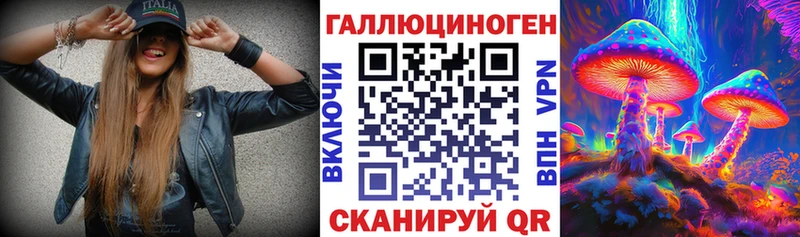купить   Клин  Псилоцибиновые грибы мицелий 
