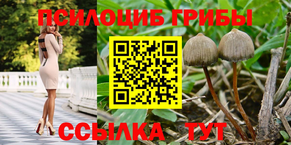 Клин  Псилоцибиновые грибы мицелий  Вход с VPN 